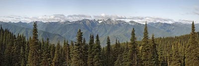 Mountain Home Olympic Mountains viewed from Hurricane Canvas Wall Art Print